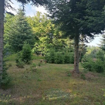 Orsegi Eden Vendeghaz * Hegyhatszentjakab