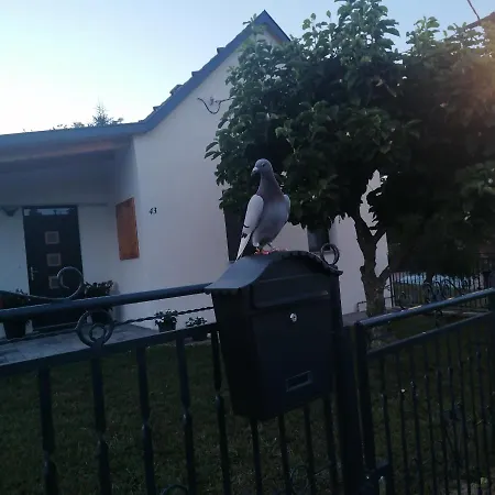 Apartment Orsegi Eden Vendeghaz Hegyhatszentjakab